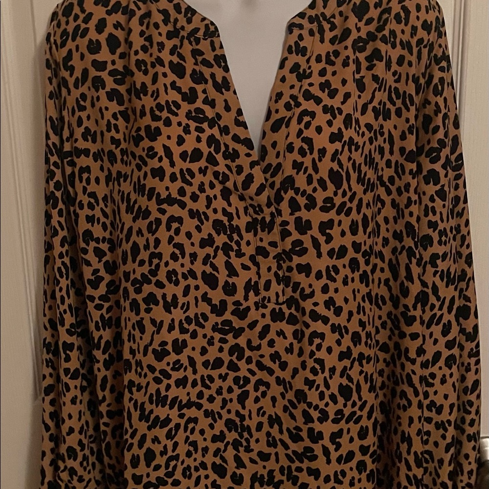 1X long sleeve womens Blouse